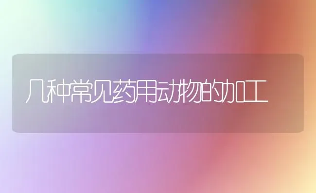 几种常见药用动物的加工 | 养殖技术大全