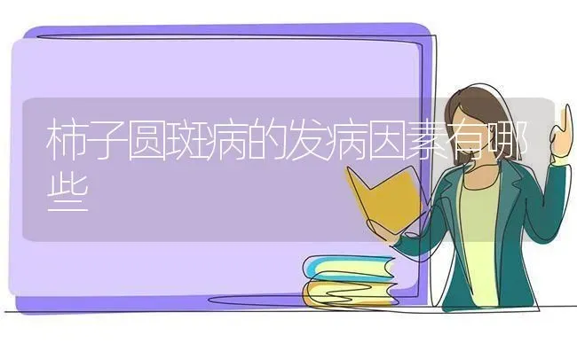 柿子圆斑病的发病因素有哪些 | 养殖技术大全