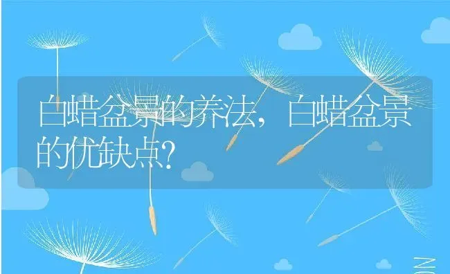 白蜡盆景的养法,白蜡盆景的优缺点？ | 养殖科普