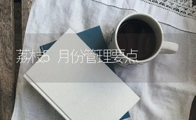 荔枝5月份管理要点 | 养殖技术大全