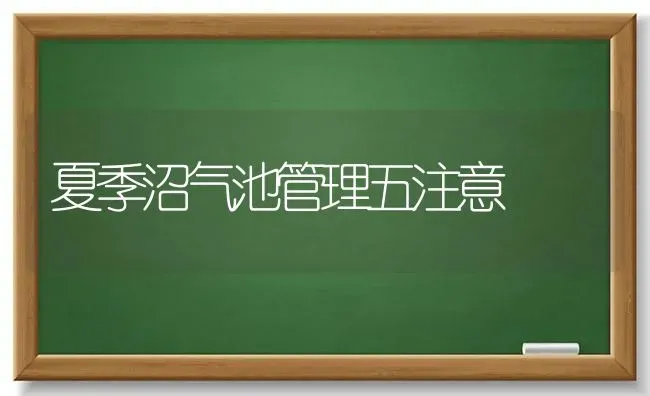 夏季沼气池管理五注意 | 养殖知识