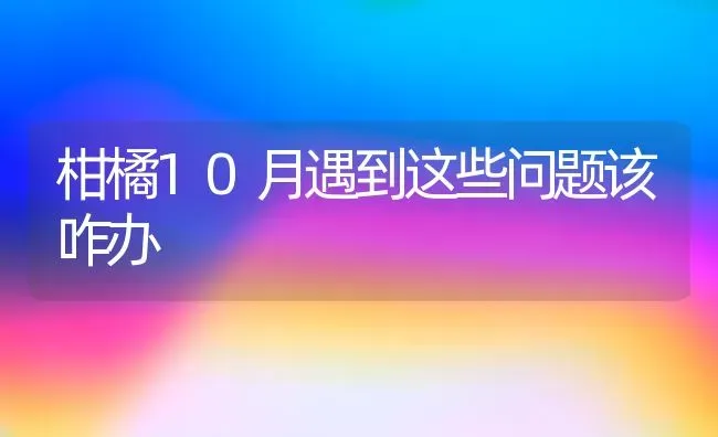 柑橘10月遇到这些问题该咋办 | 养殖技术大全