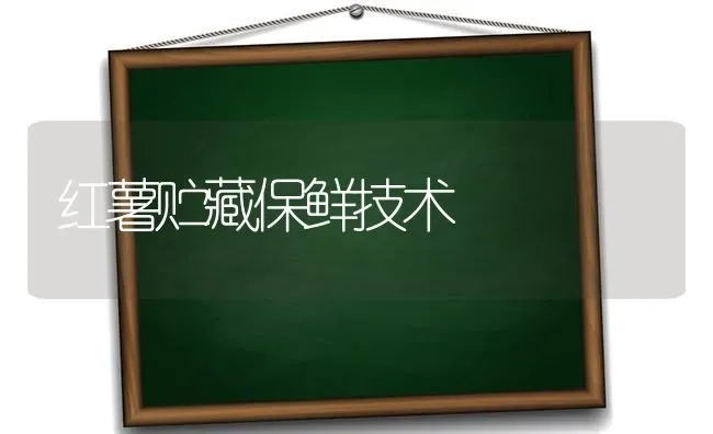 红薯贮藏保鲜技术 | 养殖技术大全