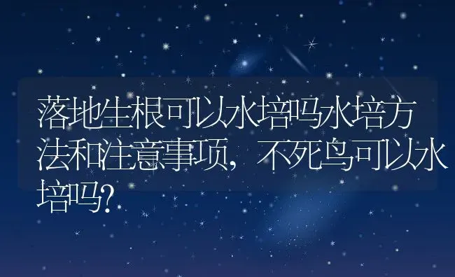 落地生根可以水培吗水培方法和注意事项,不死鸟可以水培吗？ | 养殖科普