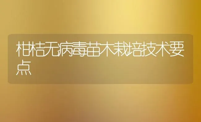 柑桔无病毒苗木栽培技术要点 | 养殖技术大全