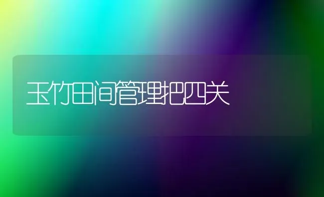 玉竹田间管理把四关 | 养殖技术大全