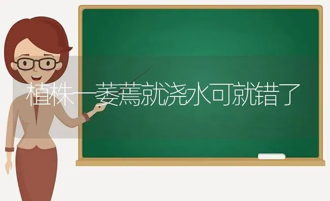 植株一萎蔫就浇水可就错了 | 养殖技术大全