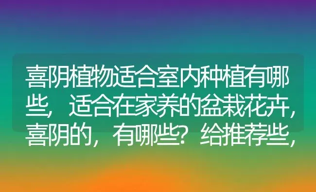 喜阴植物适合室内种植有哪些,适合在家养的盆栽花卉，喜阴的，有哪些?给推荐些，谢谢？ | 养殖学堂