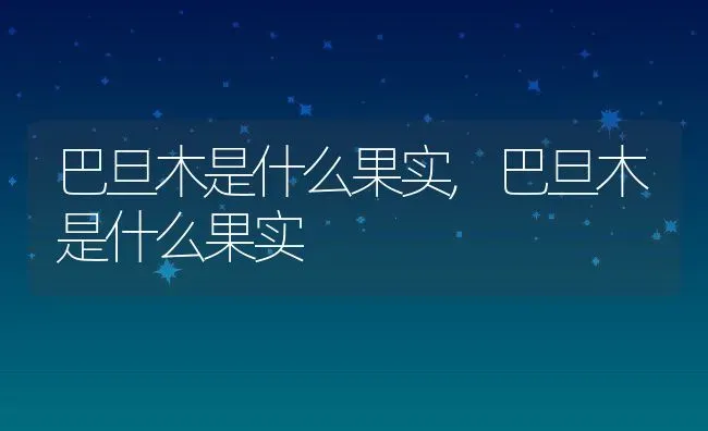 三湖慈鲷寿命,三湖慈鲷寿命最长的鱼 | 养殖科普