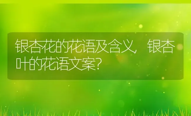 银杏花的花语及含义,银杏叶的花语文案？ | 养殖科普