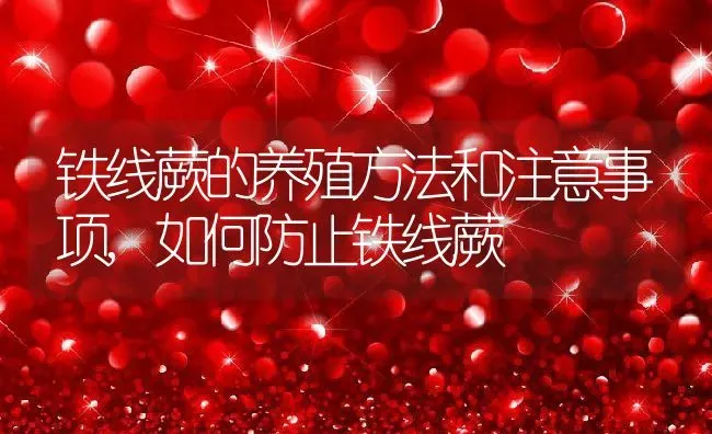 铁线蕨的养殖方法和注意事项,如何防止铁线蕨 | 养殖学堂