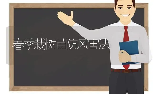 春季栽树苗防风害法 | 养殖知识