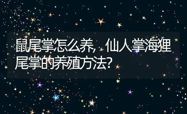 鼠尾掌怎么养,仙人掌海狸尾掌的养殖方法？ | 养殖科普