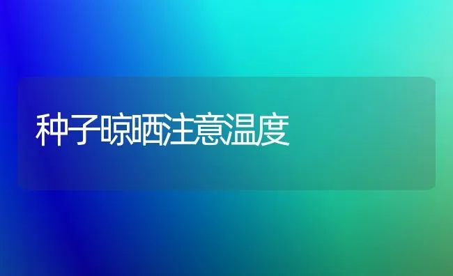 种子晾晒注意温度 | 养殖技术大全