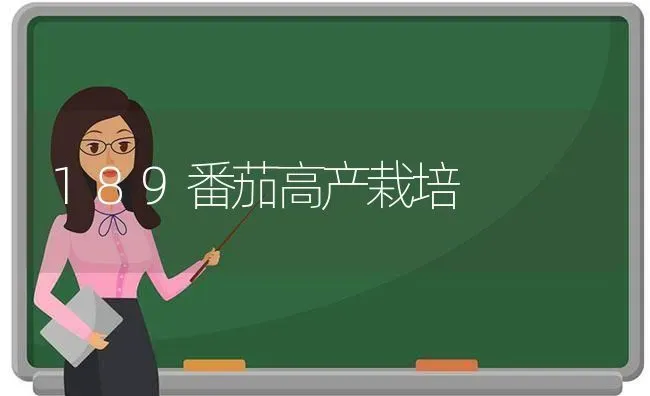 189番茄高产栽培 | 养殖知识