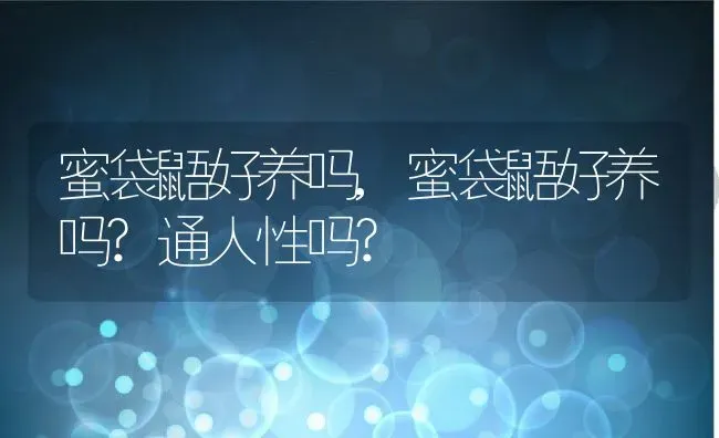蜜袋鼯好养吗,蜜袋鼯好养吗?通人性吗? | 养殖资料