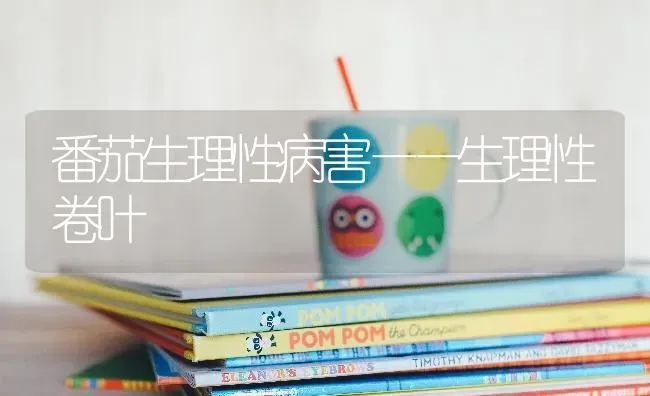 番茄生理性病害——生理性卷叶 | 养殖知识