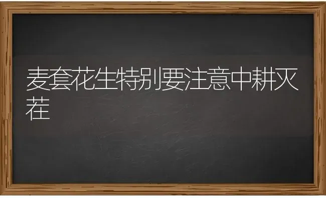 信鸽换羽期“靓羽”管理要点 | 养殖知识