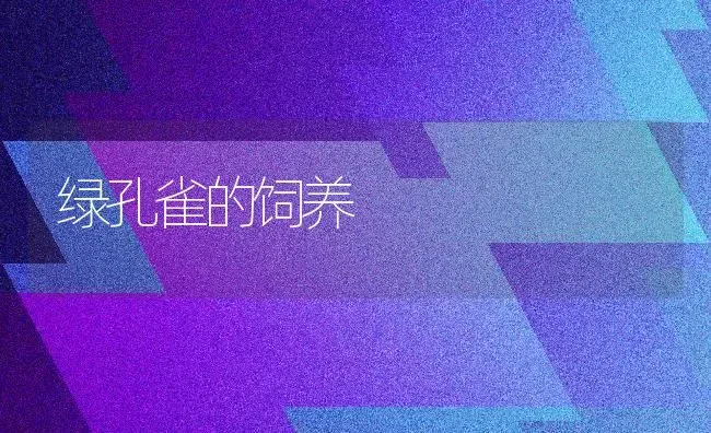 绿孔雀的饲养 | 养殖技术大全