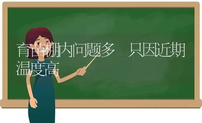 育苗棚内问题多 只因近期温度高 | 养殖技术大全