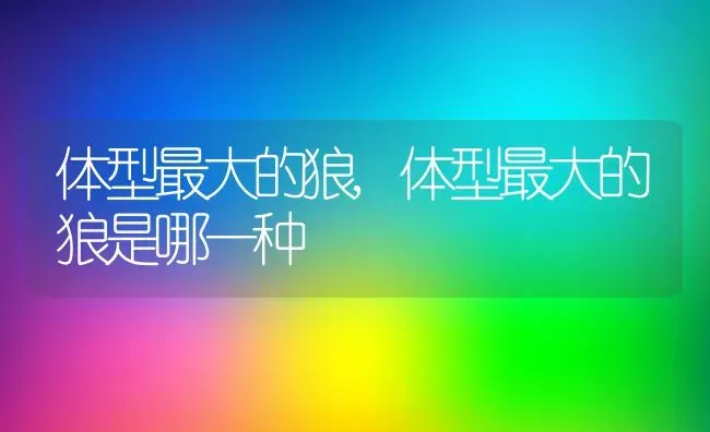 体型最大的狼,体型最大的狼是哪一种 | 养殖资料
