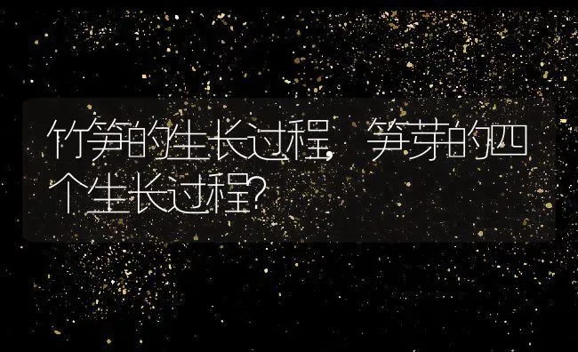 竹笋的生长过程,笋芽的四个生长过程？ | 养殖科普