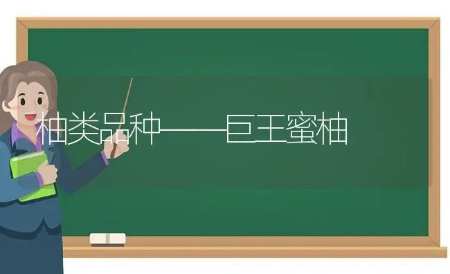 柚类品种——巨王蜜柚 | 养殖知识