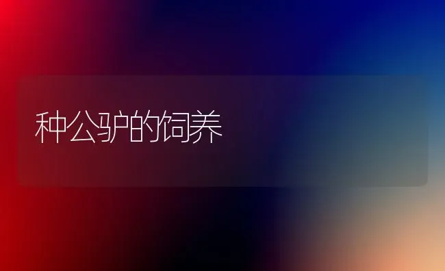 种公驴的饲养 | 养殖技术大全