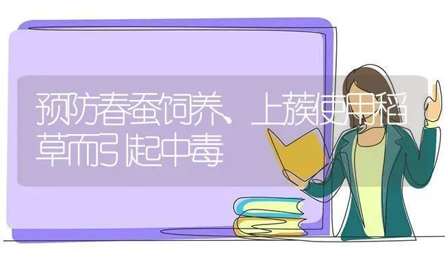 预防春蚕饲养、上蔟使用稻草而引起中毒 | 养殖技术大全