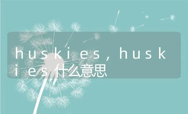 huskies,huskies什么意思 | 养殖科普