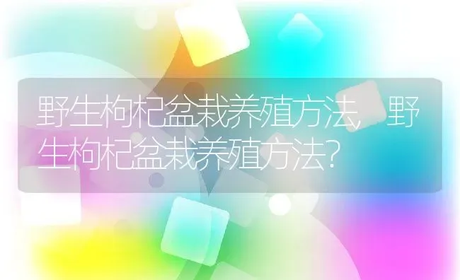 野生枸杞盆栽养殖方法,野生枸杞盆栽养殖方法？ | 养殖科普