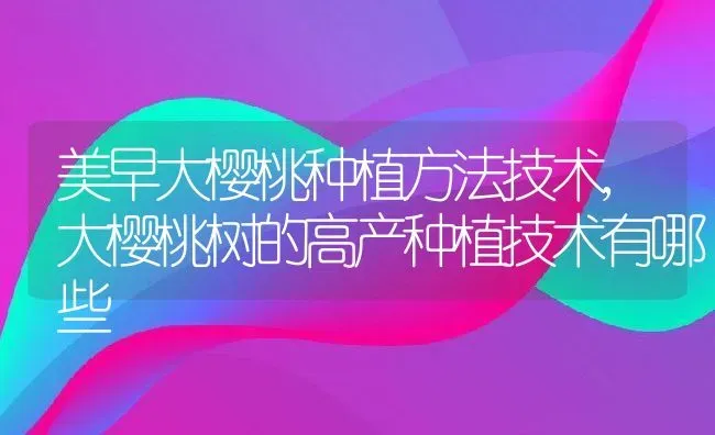 美早大樱桃种植方法技术,大樱桃树的高产种植技术有哪些 | 养殖学堂