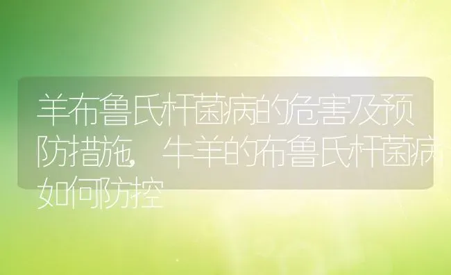 羊布鲁氏杆菌病的危害及预防措施,牛羊的布鲁氏杆菌病如何防控 | 养殖学堂