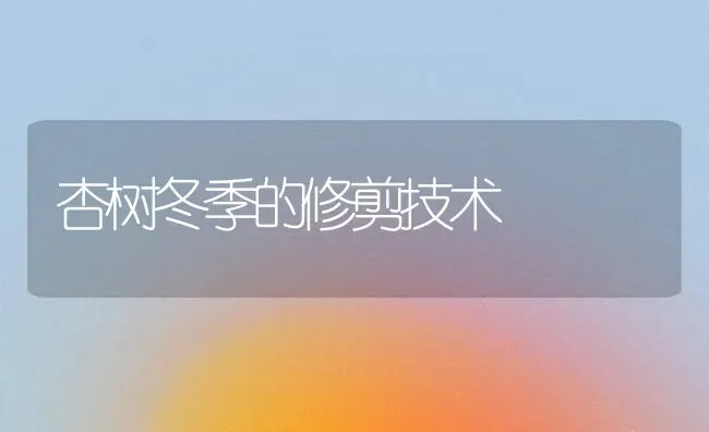 杏树冬季的修剪技术 | 养殖技术大全
