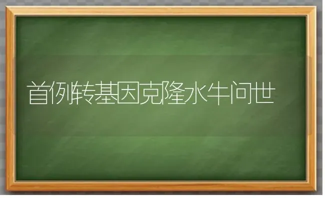 首例转基因克隆水牛问世 | 养殖知识