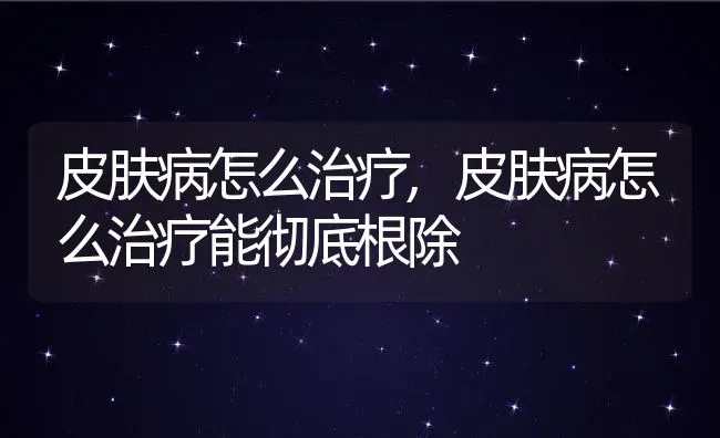 皮肤病怎么治疗,皮肤病怎么治疗能彻底根除 | 养殖科普