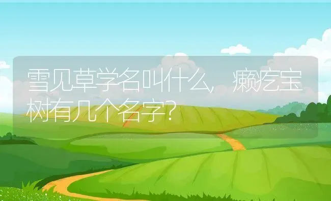 雪见草学名叫什么,癞疙宝树有几个名字？ | 养殖科普