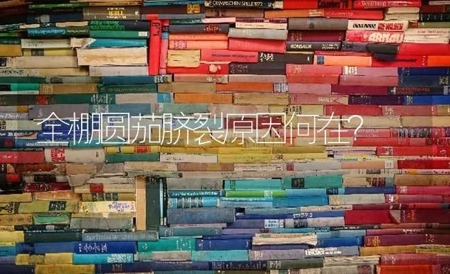 全棚圆茄脐裂原因何在? | 养殖知识