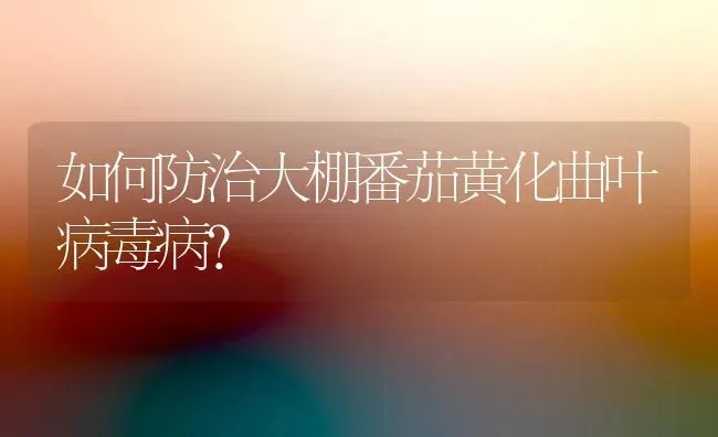如何防治大棚番茄黄化曲叶病毒病? | 养殖知识