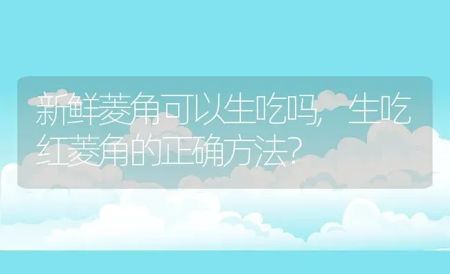 新鲜菱角可以生吃吗,生吃红菱角的正确方法？ | 养殖科普