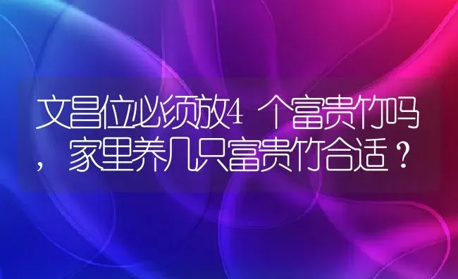 文昌位必须放4个富贵竹吗,家里养几只富贵竹合适？ | 养殖学堂