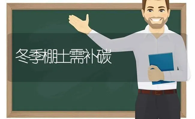冬季棚土需补碳 | 养殖技术大全
