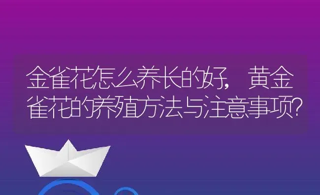 金雀花怎么养长的好,黄金雀花的养殖方法与注意事项？ | 养殖科普