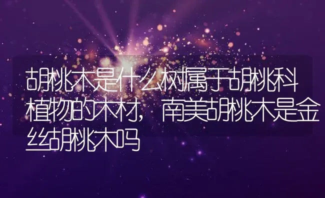 胡桃木是什么树属于胡桃科植物的木材,南美胡桃木是金丝胡桃木吗 | 养殖科普