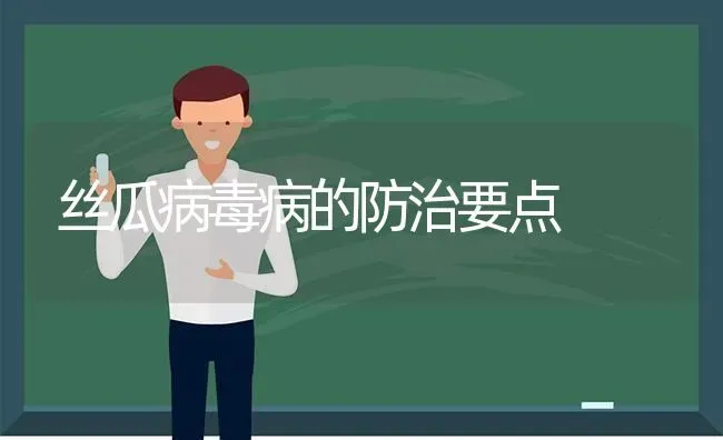 丝瓜病毒病的防治要点 | 养殖技术大全