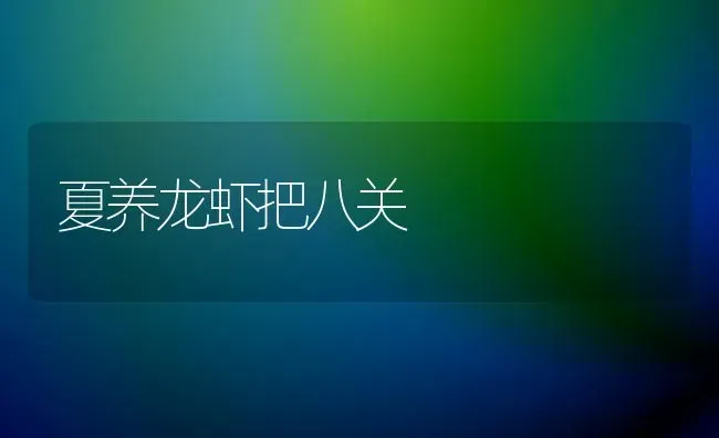 夏养龙虾把八关 | 养殖技术大全