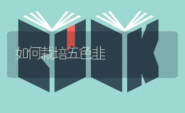 如何栽培五色韭 | 养殖知识