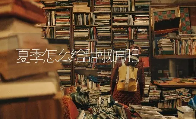 夏季怎么给甜椒追肥 | 养殖技术大全
