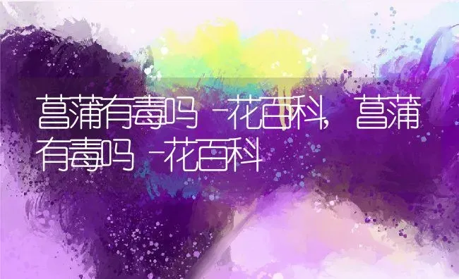 菖蒲有毒吗–花百科,菖蒲有毒吗–花百科 | 养殖科普