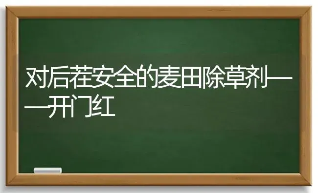 对后茬安全的麦田除草剂——开门红 | 养殖技术大全